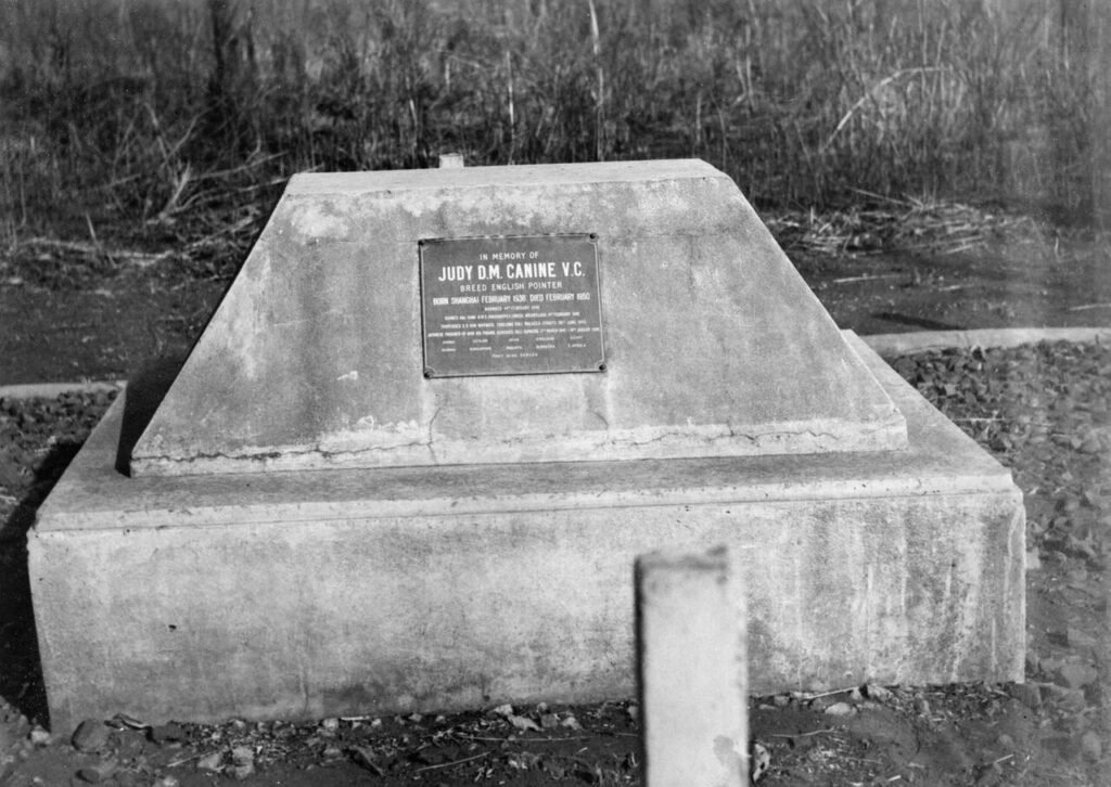 The grave of Judy in Tanzania