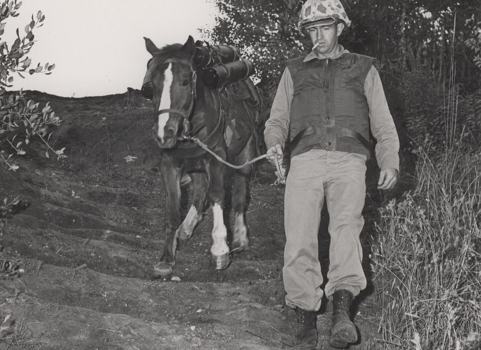Reckless carrying ammunition for the Marines, 1953
